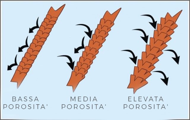 Porosita’ Dei Capelli